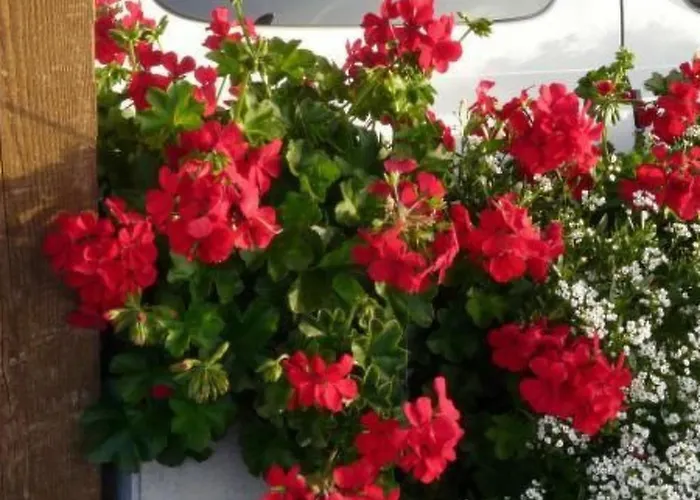 Haus Schoenberg By Interhome Leutasch