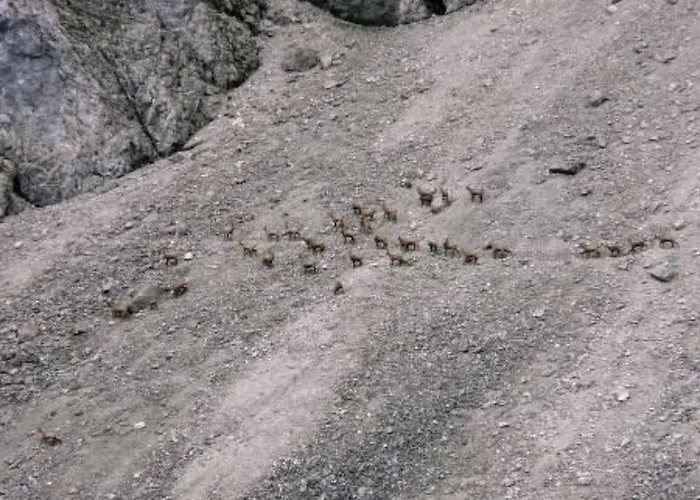 Haus Schoenberg By Interhome Leutasch